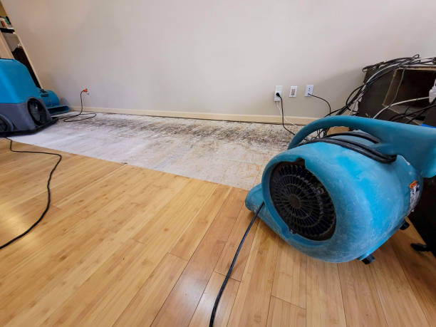 Professional Burst Pipe Water Damage technician working in Robertsdale, AL
